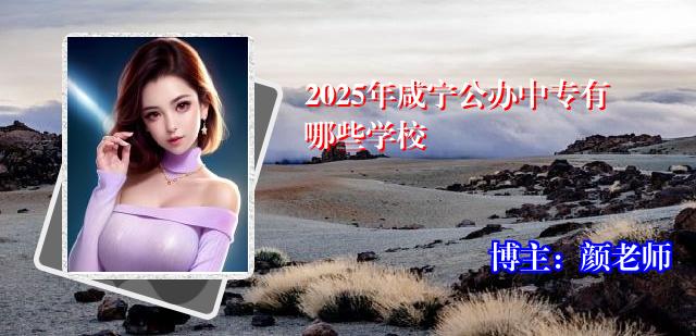 2025年咸宁公办中专有哪些学校