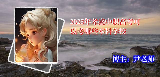 2025年孝感中职高考可以考哪些本科学校