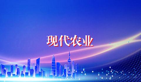 现代农业