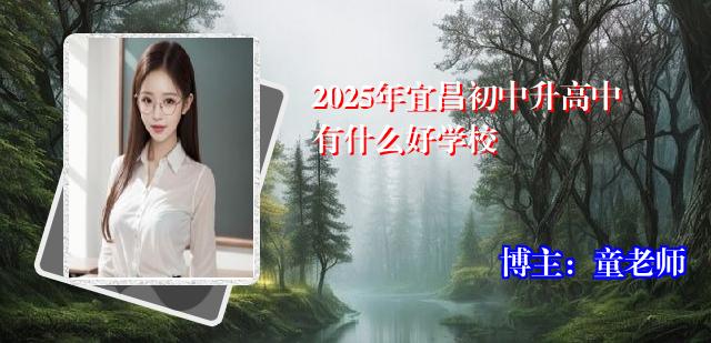 2025年宜昌初中升高中有什么好学校