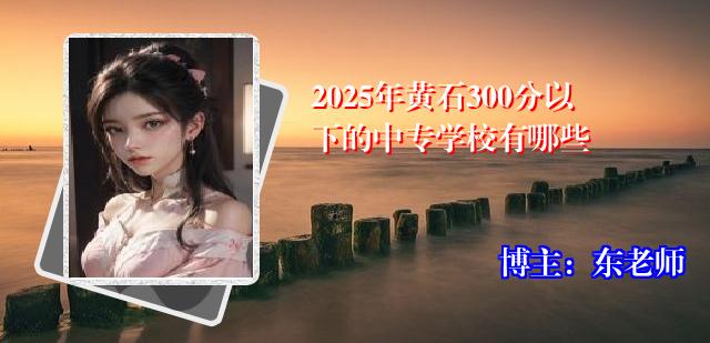 2025年黄石300分以下的中专学校有哪些