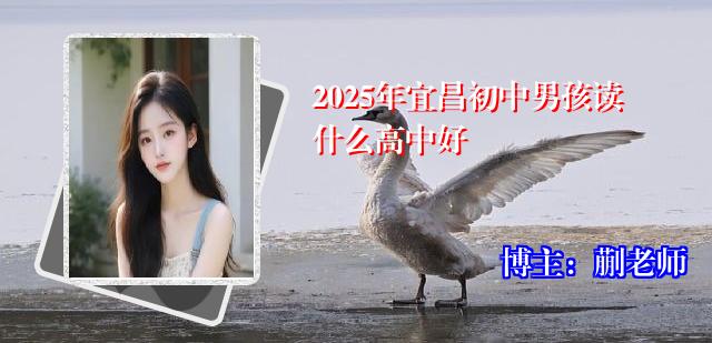 2025年宜昌初中男孩读什么高中好