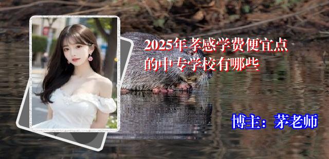 2025年孝感学费便宜点的中专学校有哪些