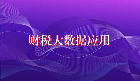 财税大数据应用