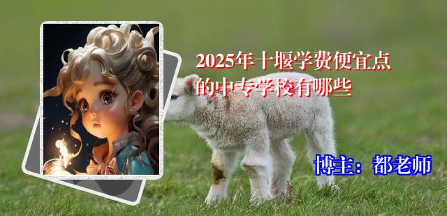 2025年十堰学费便宜点的中专学校有哪些