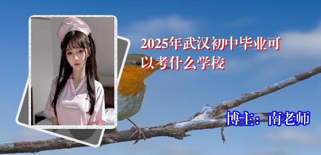 2025年武汉初中毕业可以考什么学校