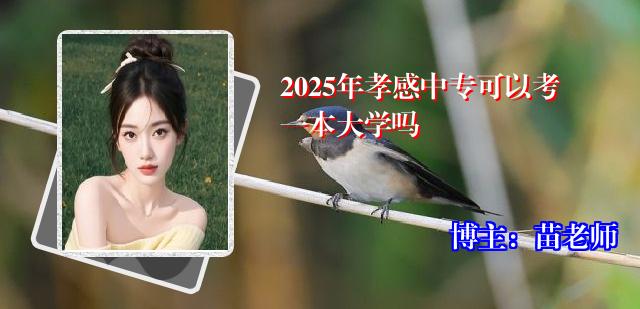 2025年孝感中专可以考一本大学吗