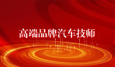 高端品牌汽车技师