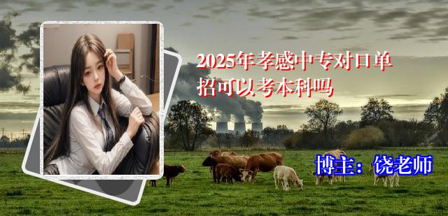 2025年孝感中专对口单招可以考本科吗