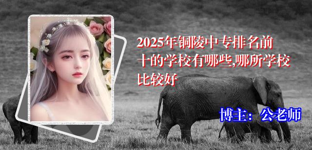 2025年铜陵中专排名前十的学校有哪些,哪所学校比较好