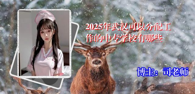 2025年武汉可以分配工作的中专学校有哪些