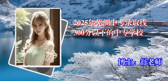 2025年芜湖中考录取线300分以下的中专学校