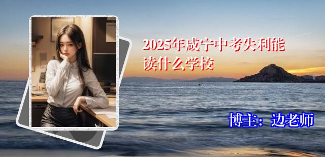 2025年咸宁中考失利能读什么学校