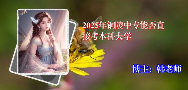 2025年铜陵中专能否直接考本科大学