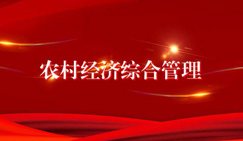 农村经济综合管理