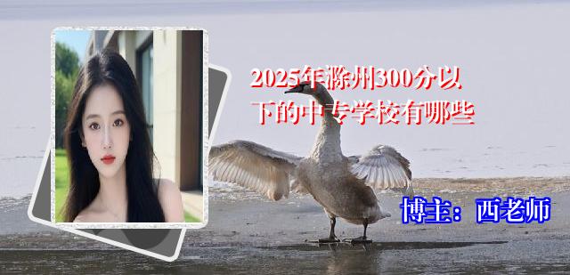 2025年滁州300分以下的中专学校有哪些
