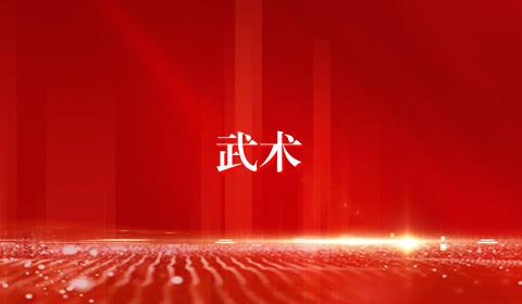 武术