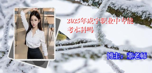 2025年咸宁职业中专能考本科吗