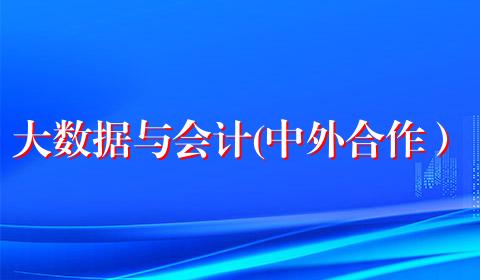 大数据与会计(中外合作）