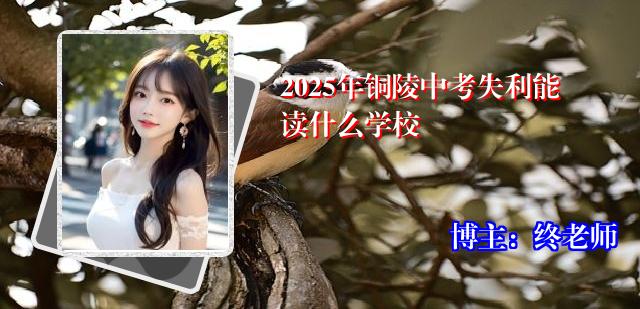 2025年铜陵中考失利能读什么学校