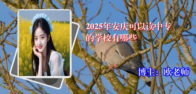 2025年安庆可以读中专的学校有哪些