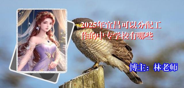 2025年宜昌可以分配工作的中专学校有哪些