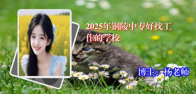 2025年铜陵中专好找工作的学校