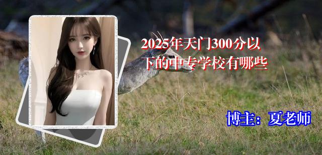 2025年天门300分以下的中专学校有哪些