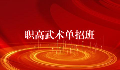 职高武术单招班
