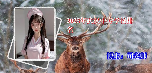2025年武汉中专学校排名