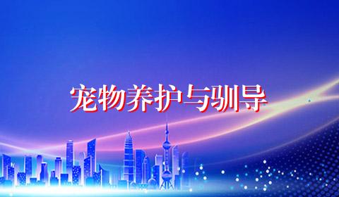 宠物养护与驯导