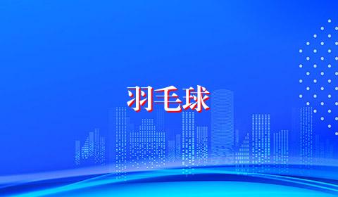 羽毛球