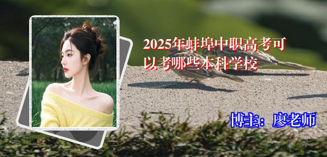 2025年蚌埠中职高考可以考哪些本科学校