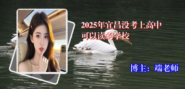 2025年宜昌没考上高中可以读的学校