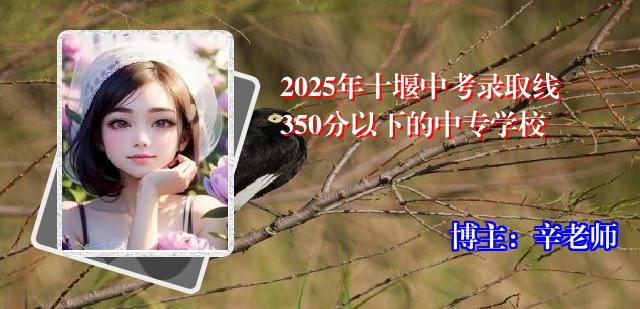 2025年十堰中考录取线350分以下的中专学校