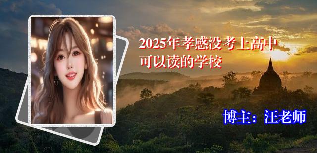 2025年孝感没考上高中可以读的学校