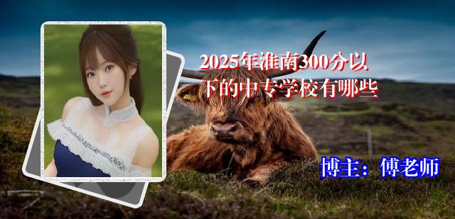 2025年淮南300分以下的中专学校有哪些