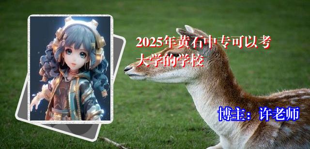 2025年黄石中专可以考大学的学校