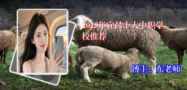 2025年宜昌十大中职学校推荐