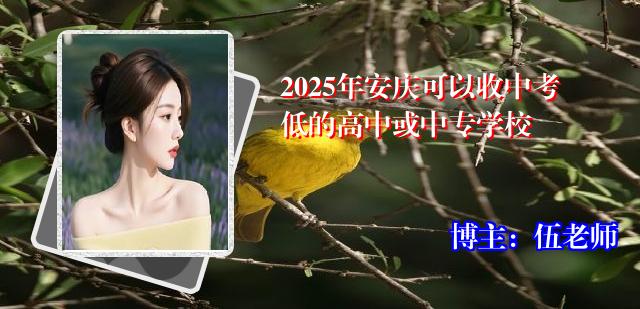 2025年安庆可以收中考低的高中或中专学校