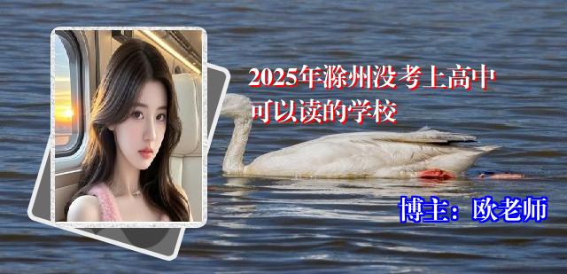 2025年滁州没考上高中可以读的学校