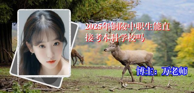 2025年铜陵中职生能直接考本科学校吗