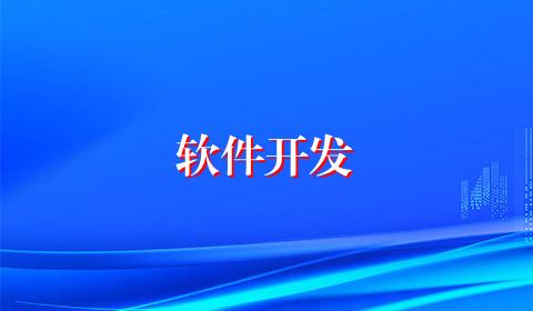 软件开发