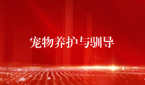 宠物养护与驯导
