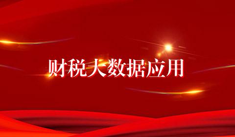 财税大数据应用