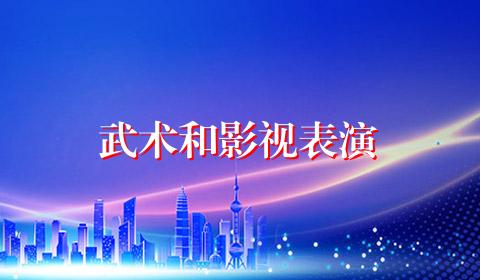 武术和影视表演