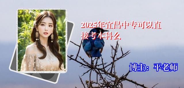 2025年宜昌中专可以直接考本科么