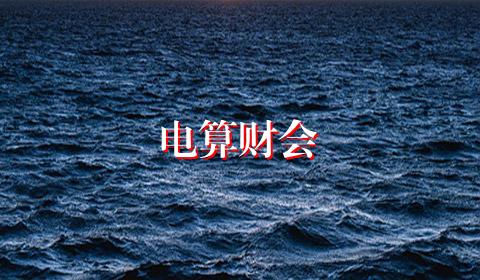 电算财会
