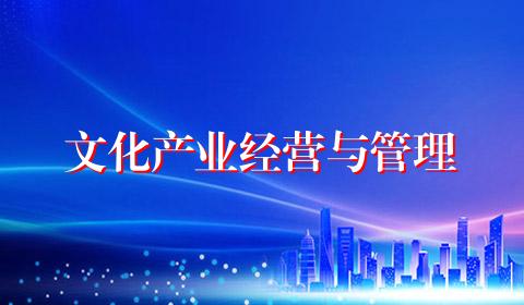 文化产业经营与管理