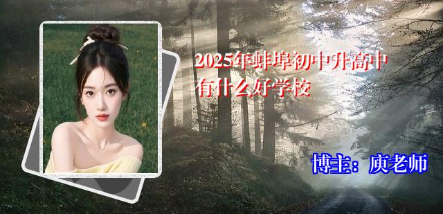 2025年蚌埠初中升高中有什么好学校